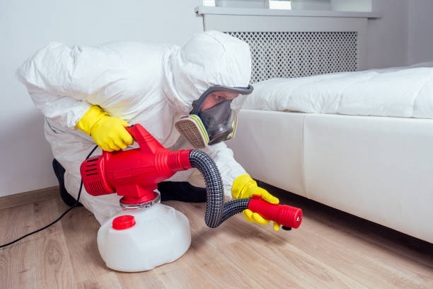 Best Mosquito Control Services  in South Windham, CT
