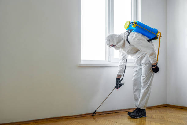 Professional Pest Control in South Windham, CT