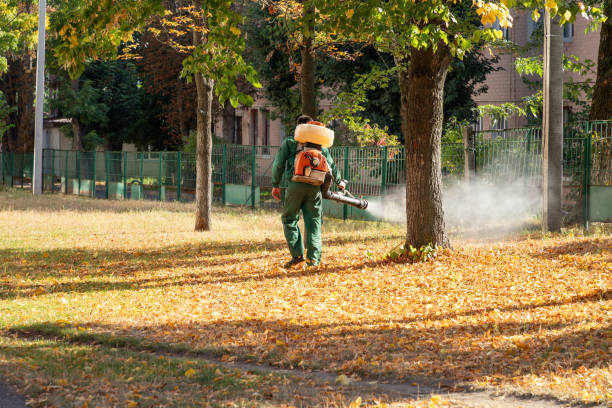 Best Best Pest Control Companies  in South Windham, CT